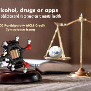 mental and physical health courses by BeiBei Song